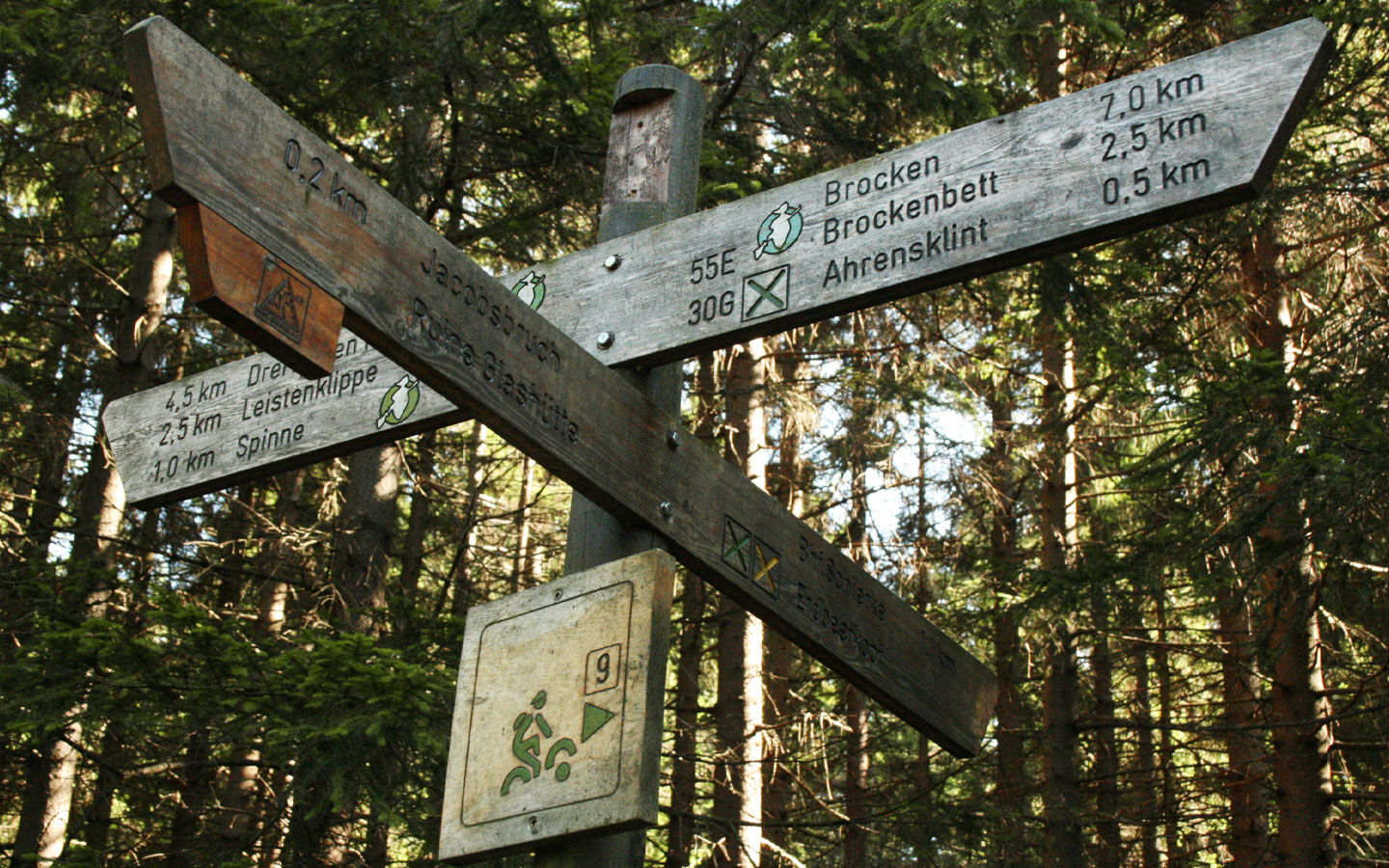 Es gibt zahlreiche Wanderwege im Harz. 
© Archiv IMG